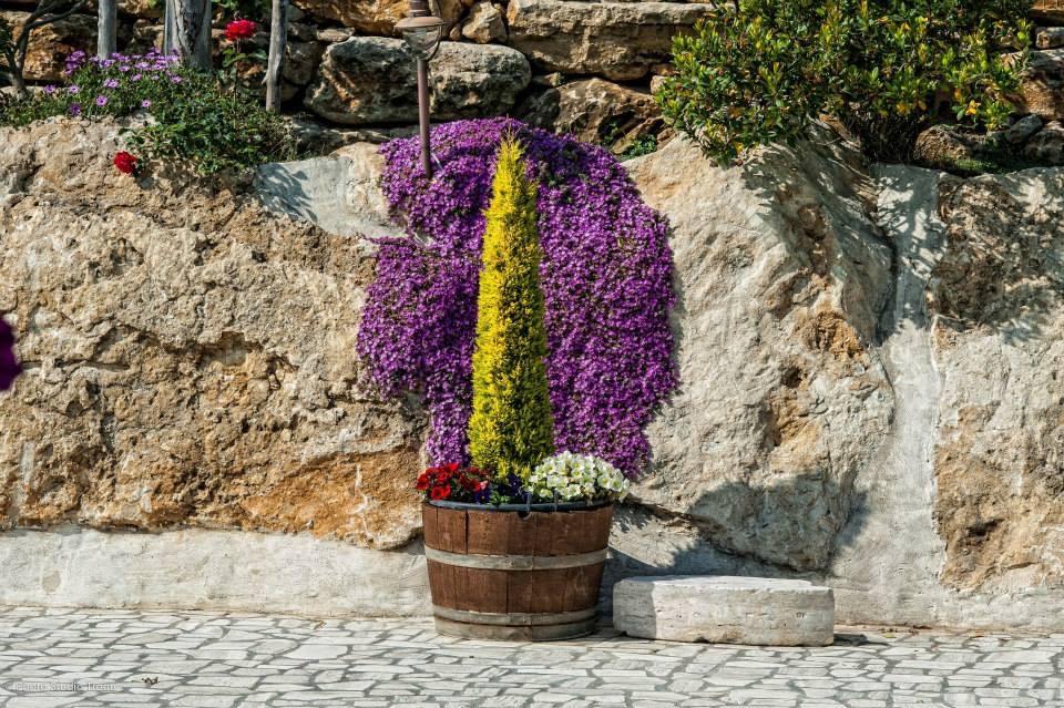 تشيرفيتيري Il Giardino Dei Flintstones B&B المظهر الخارجي الصورة